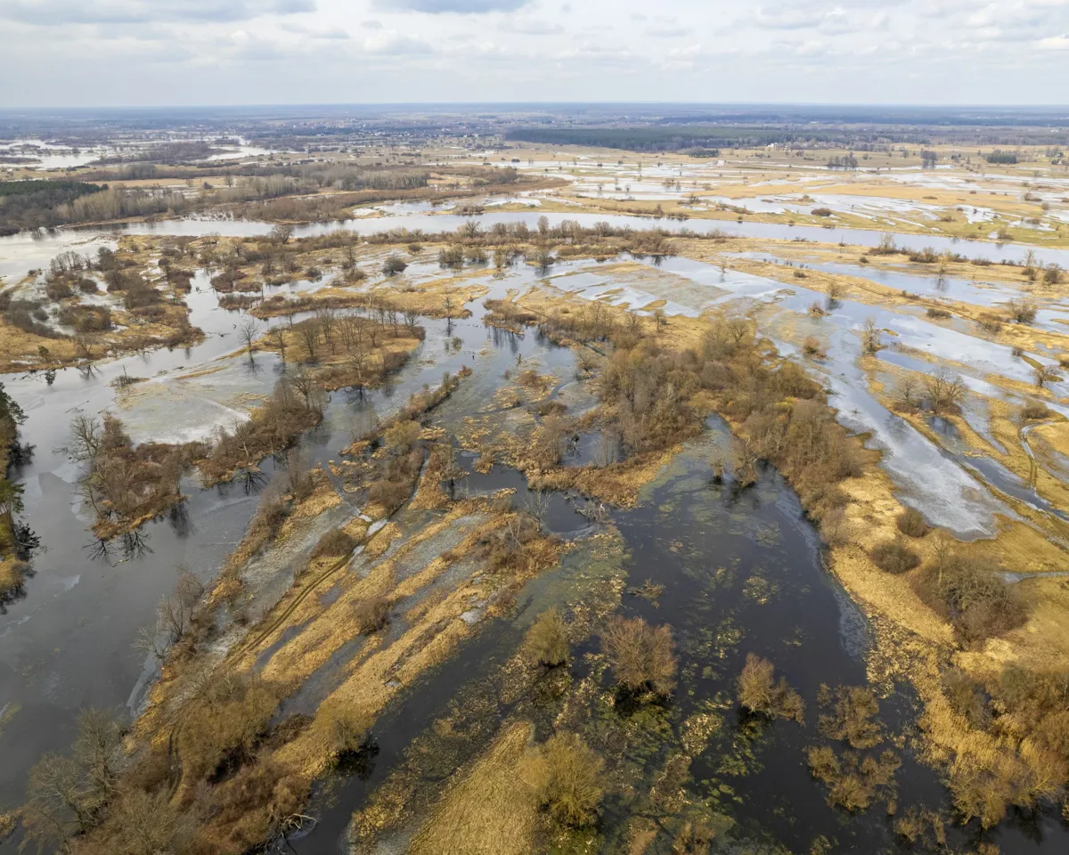 Park Krajobrazowy Robaków — image 1 of 10