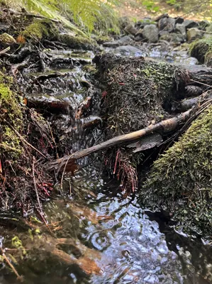 Obszar Natura 2000 masyw Ślęży - wejście na zielony szlak z miejscowości Biała
