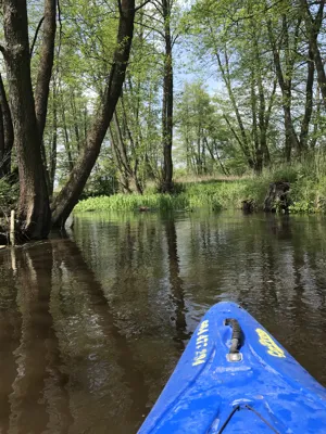 Wieprz river