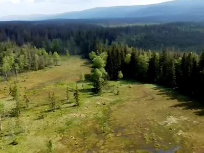 Torowiska pod Zieleńcem