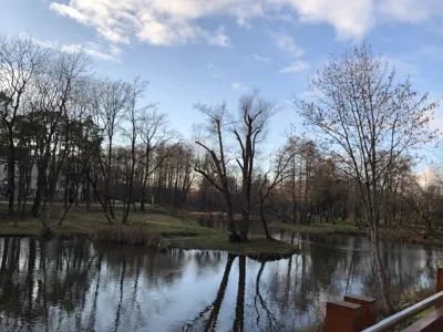 Park zdrojowy-Konstancin
