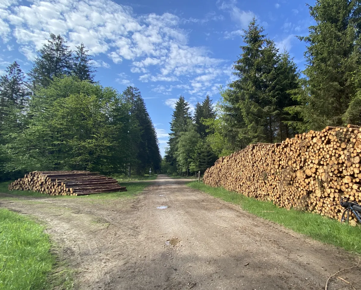 Parc naturel Hautes Fagnes-Eifel — image 2 of 4