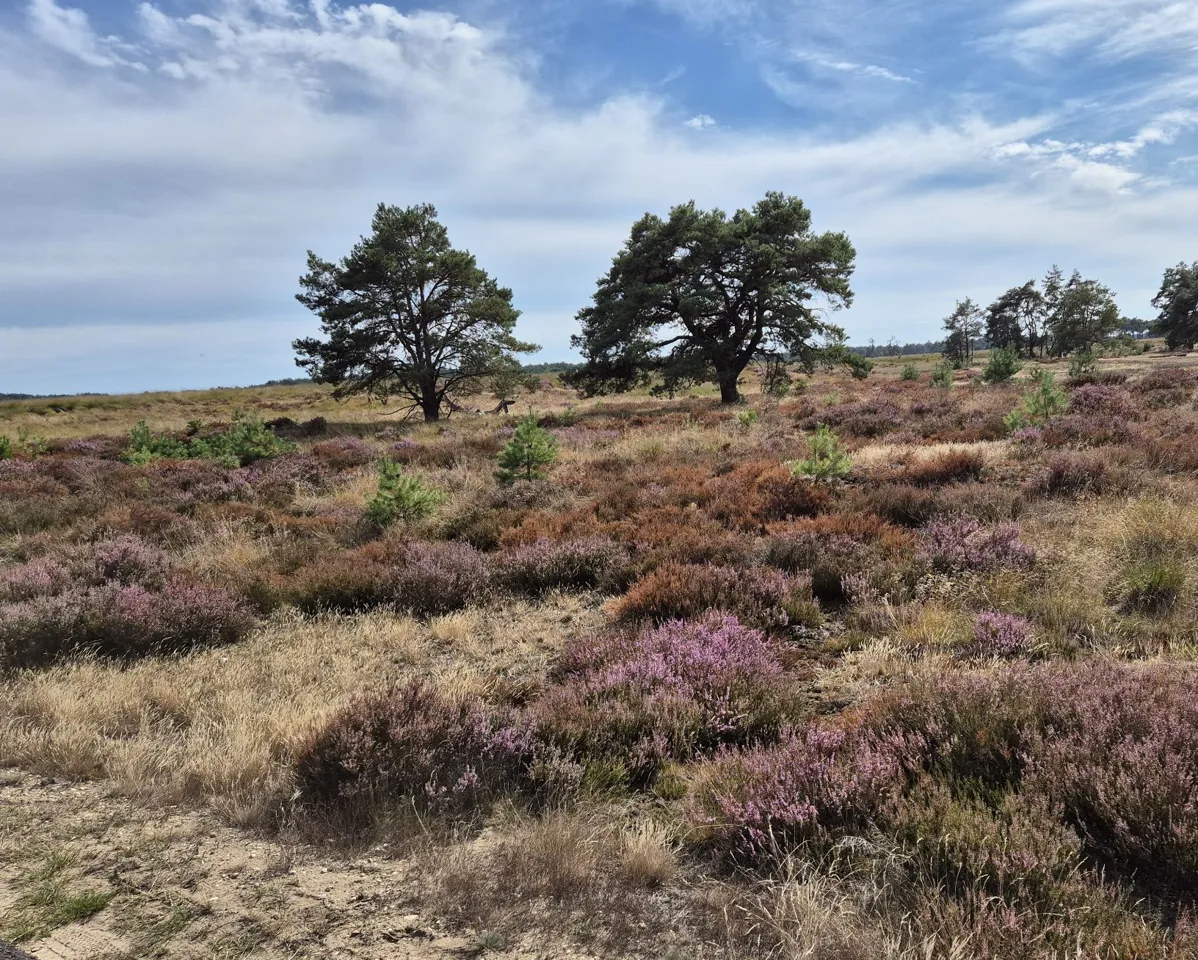 De Hoge Veluwe National Park — image 1 of 10