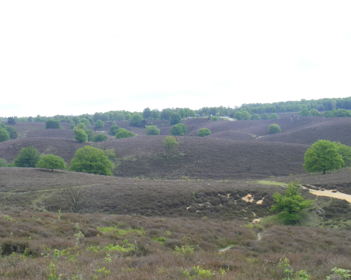 Veluwezoom National Park — image 3 of 6