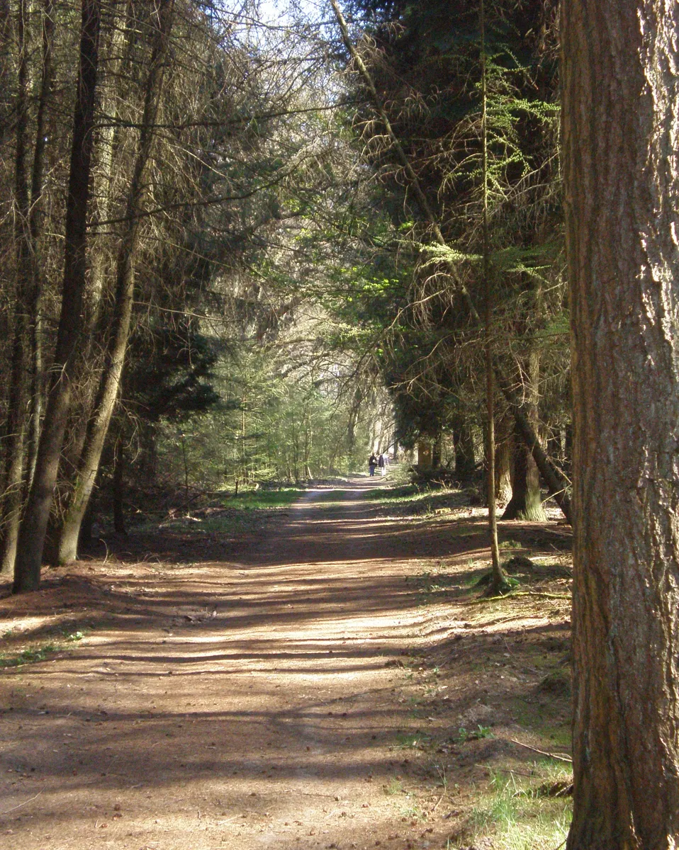 Veluwezoom National Park — image 2 of 6