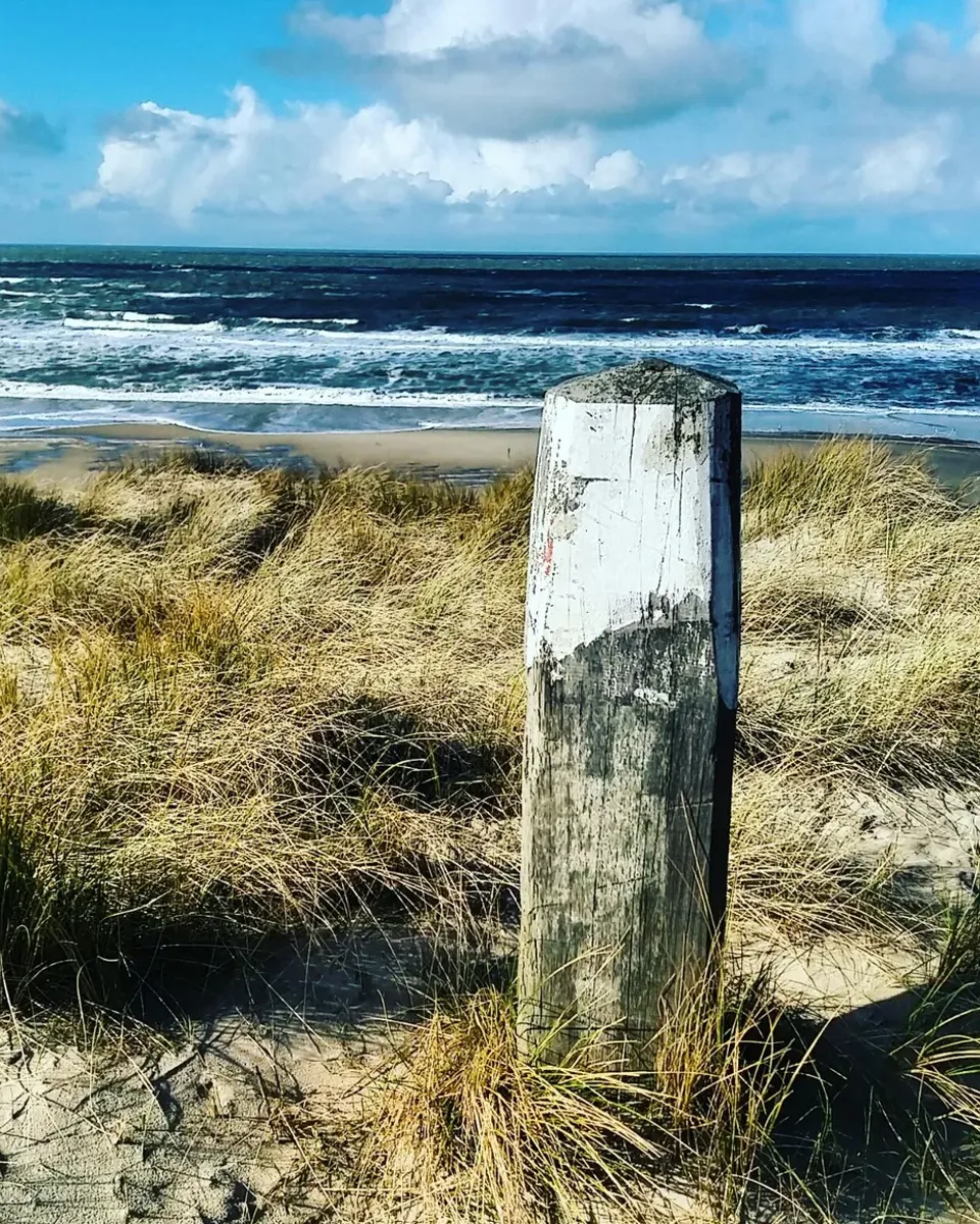 Nationaal Park Hollandse Duinen — image 2 of 2