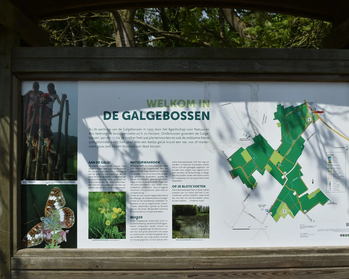 Galgebossen