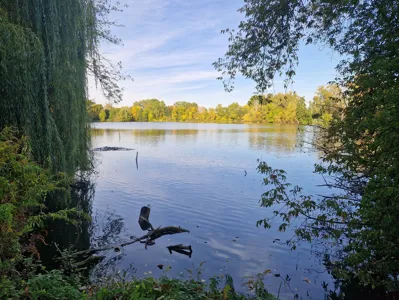 Heinersdorfer Karpfenteiche